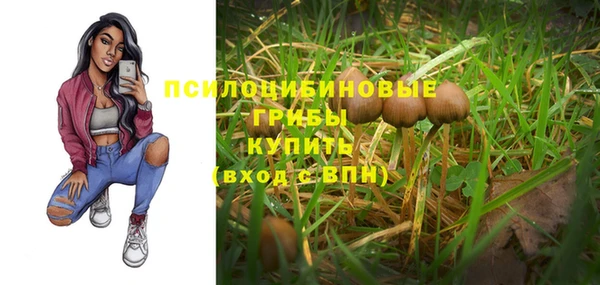гашишное масло Богородицк